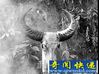 恶魔湖