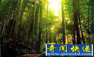 离奇失踪