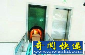 诈尸