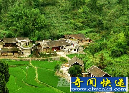 寡妇村