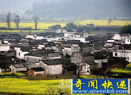 寡妇村