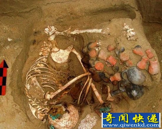 秘鲁恐怖人祭墓道 遍地妇女尸骨