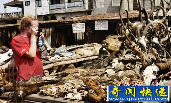 地球十大最恐怖之地 日本自杀森林上榜