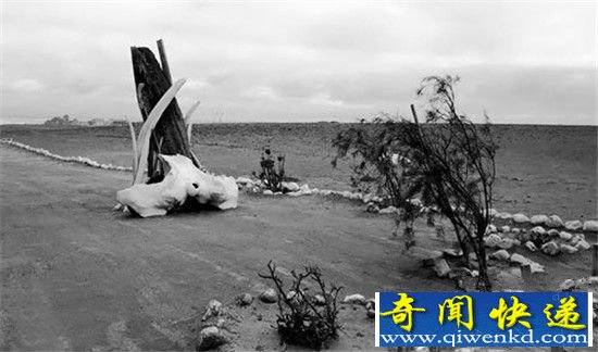 揭秘纳米比亚骷髅海岸:最接近地狱的地方