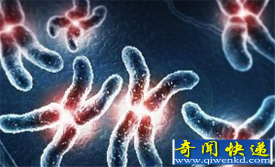 人格分裂很正常 第二个灵魂真的存在?
