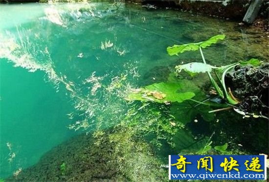揭秘:旧社会残忍的私刑“浸猪笼”