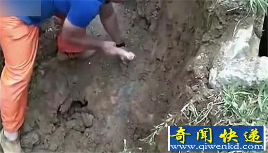 男子听见地底怪叫 凿开发现一张脸