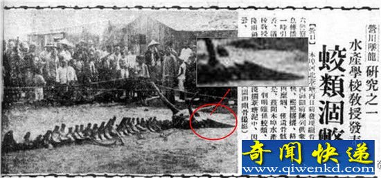 让中国人信以为真的十大灵异事件 故宫幽灵宫女