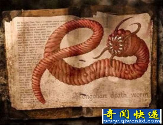 蒙古死亡之虫揭秘 沙漠死神的传说