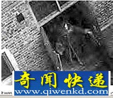 揭秘:震惊全球的英国伦敦塔闹鬼事件