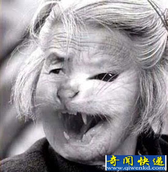 猫脸老太太是真的吗?揭秘猫脸老太太事件始末