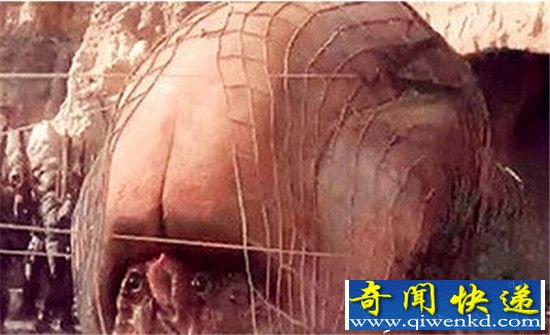 村民开山 竟然炸出百吨巨虫