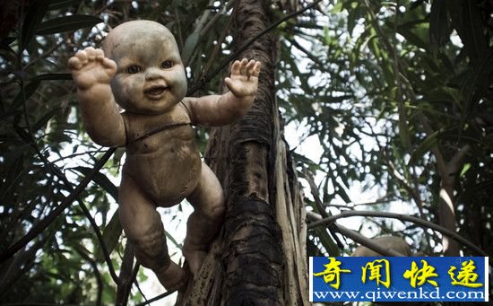 墨西哥娃娃岛 满树恐怖娃娃把人吓尿