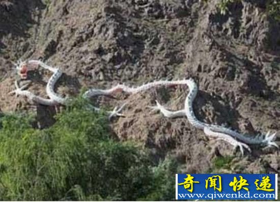 工人修路竟挖出千年真龙 真龙现身灵异事件