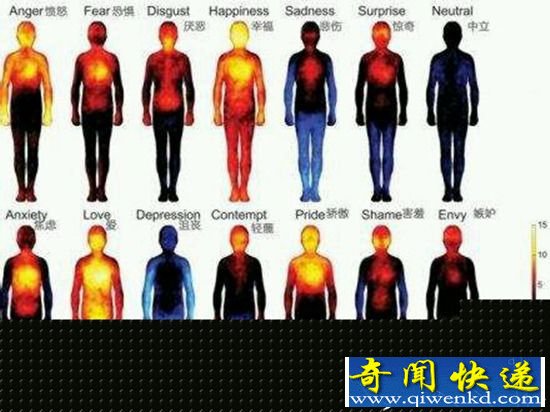 揭秘:人死亡全过程 你知道吗