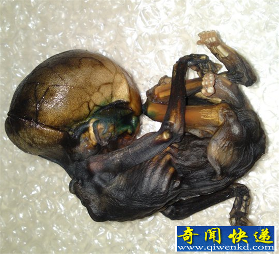 民间秘术盘点 人胎鬼仔与恐怖血咒