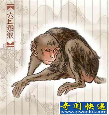揭秘孙悟空死亡证据 悟空杀死六耳猕猴疑有暗线伏笔