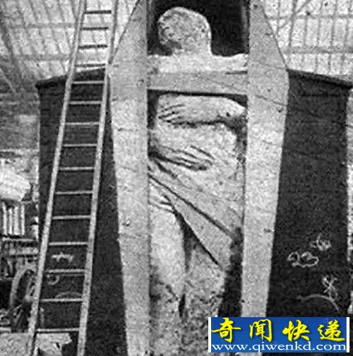 巨人曾真实存在 化石身长竟有四米