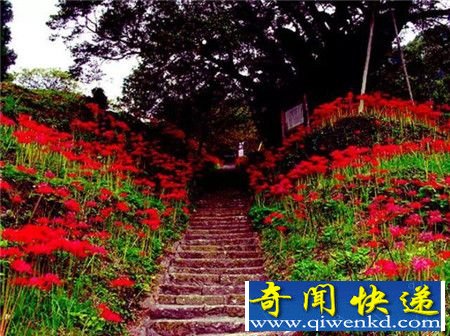 人死后究竟魂归何方 风水术士图解阴曹地府路线