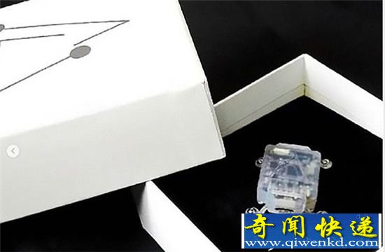 男子造人肉指南针 路痴为了认清方向也是拼了!