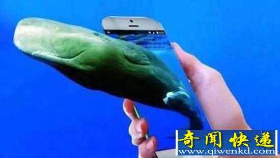 ϷŮԲ߱в ѣһ·