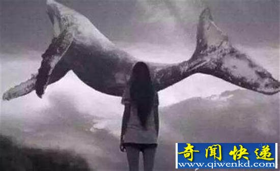 Ϸ50ָԲɱ ۾Ϸܷȣ