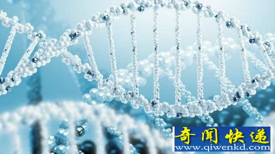 生化危机!科学家竟然用昆虫的基因改造人类大脑