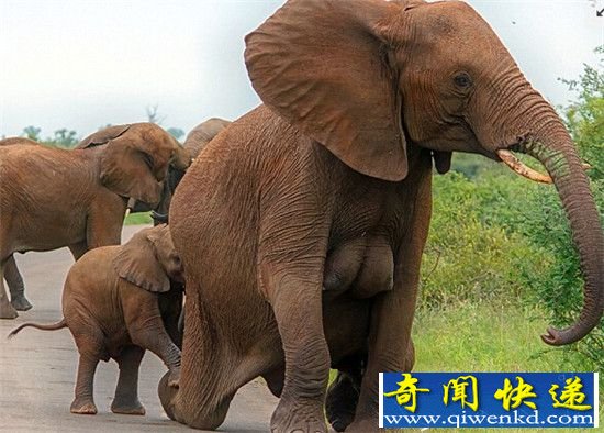 飡һͷӵзزĴ