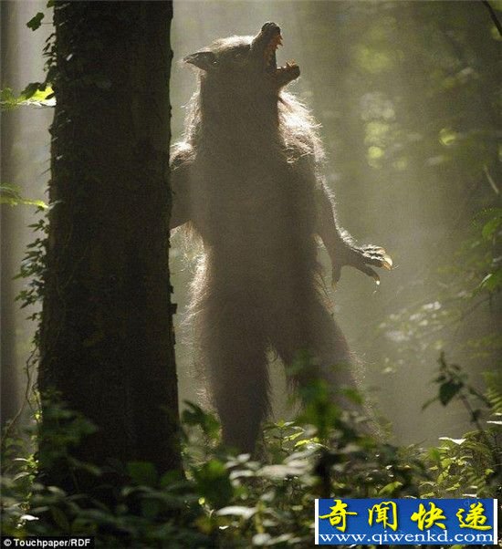 英国惊现狼人 口臭严重挖尸体吃!