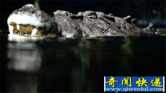 ŮӾ ѪȲֱ