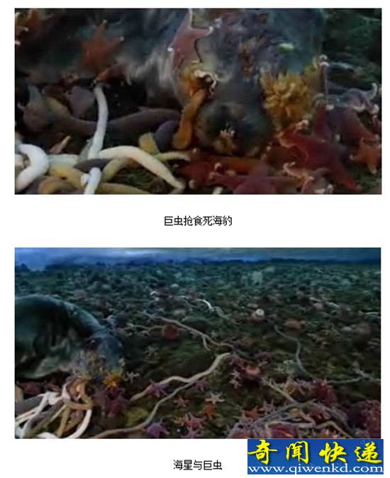 ����3���ϼ��޳�  ��������ʳ��������Ѫ��