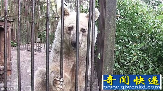 ��������Ϸ��Ű��30�� �ݵ�Ƥ����ͷ