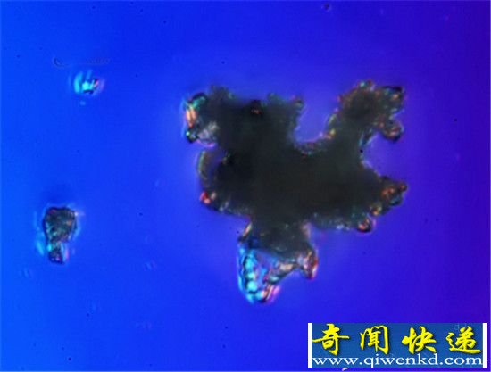 北京雾霾在显微镜下的样子 看完你还敢呼吸?