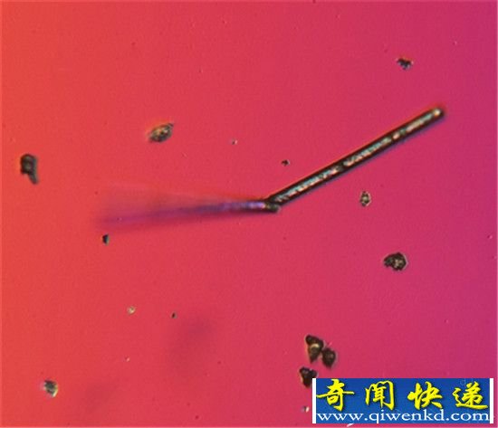北京雾霾在显微镜下的样子 看完你还敢呼吸?
