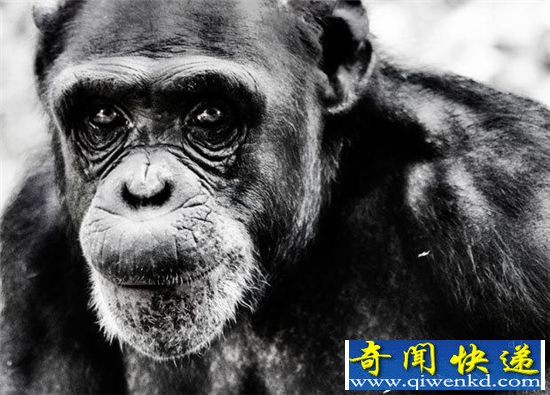 加拿大最任性千万富翁 老爷子遗嘱玩了一整代人