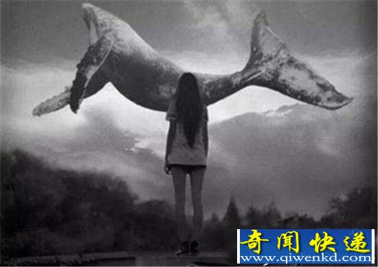 俄罗斯蓝鲸死亡游戏“转型” 小心被骗裸照!