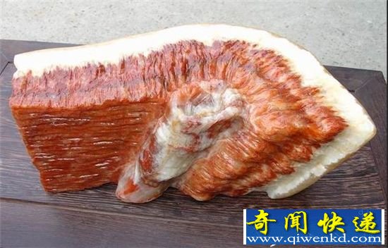 石头都成精了 长得跟真的猪肉完全一个样