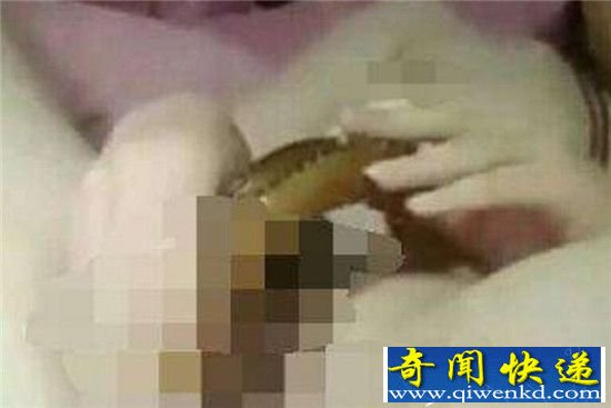 黄鳝门女主播被抓不要紧 吃精门野战门来袭堪比日本av!