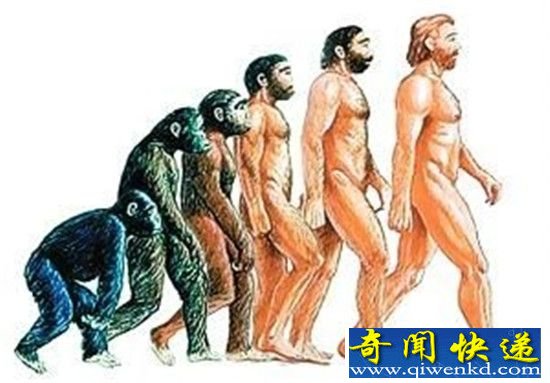 人类起源于外星人 人类是外星人的后代?