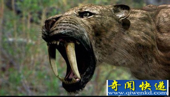 机甲时代:机甲战士战剑齿虎 远古巨兽不堪一击