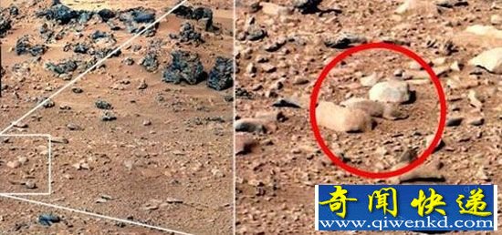 天文爱好者发现火星“原著民” 竟然不像外星生物
