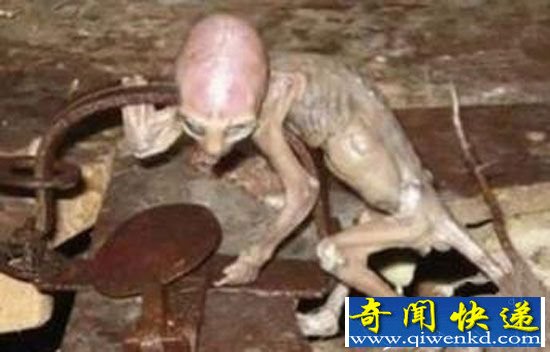 宇宙六大超乎想象离奇事件:女宇航员意外怀孕