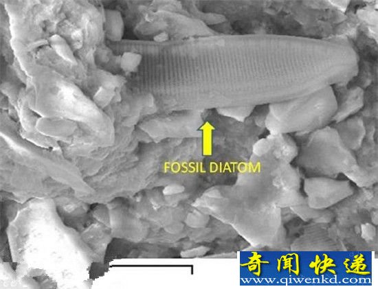科学家声称发现外星生命存在证据 引争论