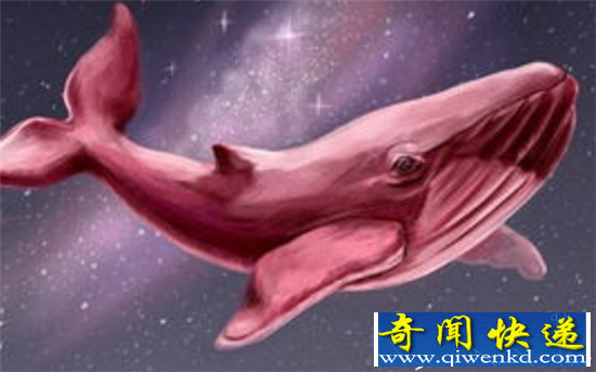 蓝鲸死亡游戏残害幼苗 粉鲸游戏如何拯救?