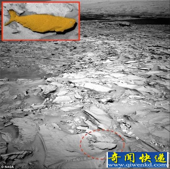 火星发现鱼化石:火星果然存在远古海洋!