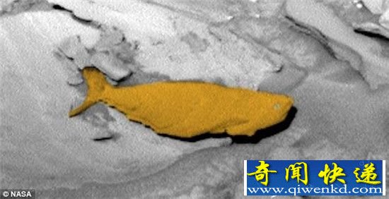 火星发现鱼化石:火星果然存在远古海洋!