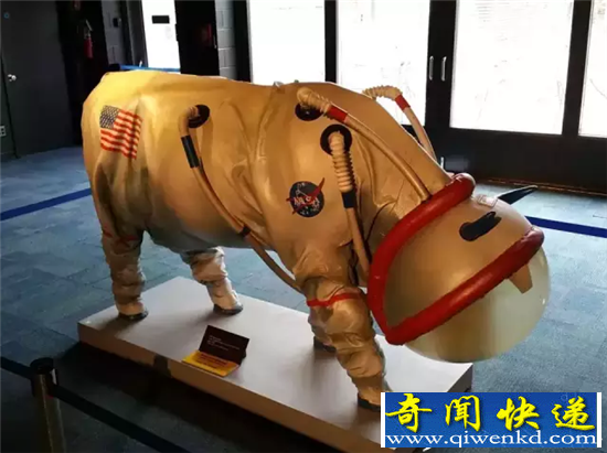 NASA愚人节声称:月球是奶油做的!