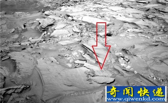 火星惊现鱼形岩石 或成证实火星存在海洋证据