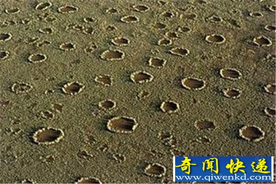 神秘现象:揭秘神秘的自然奇观麦田圈