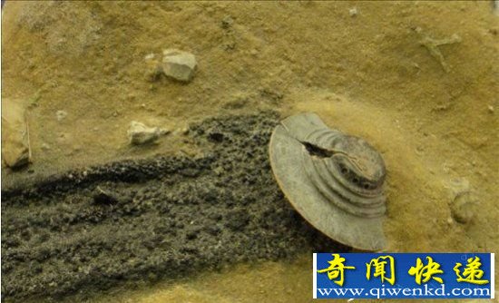 神秘UFO在地球坠毁 留外星人婴儿?